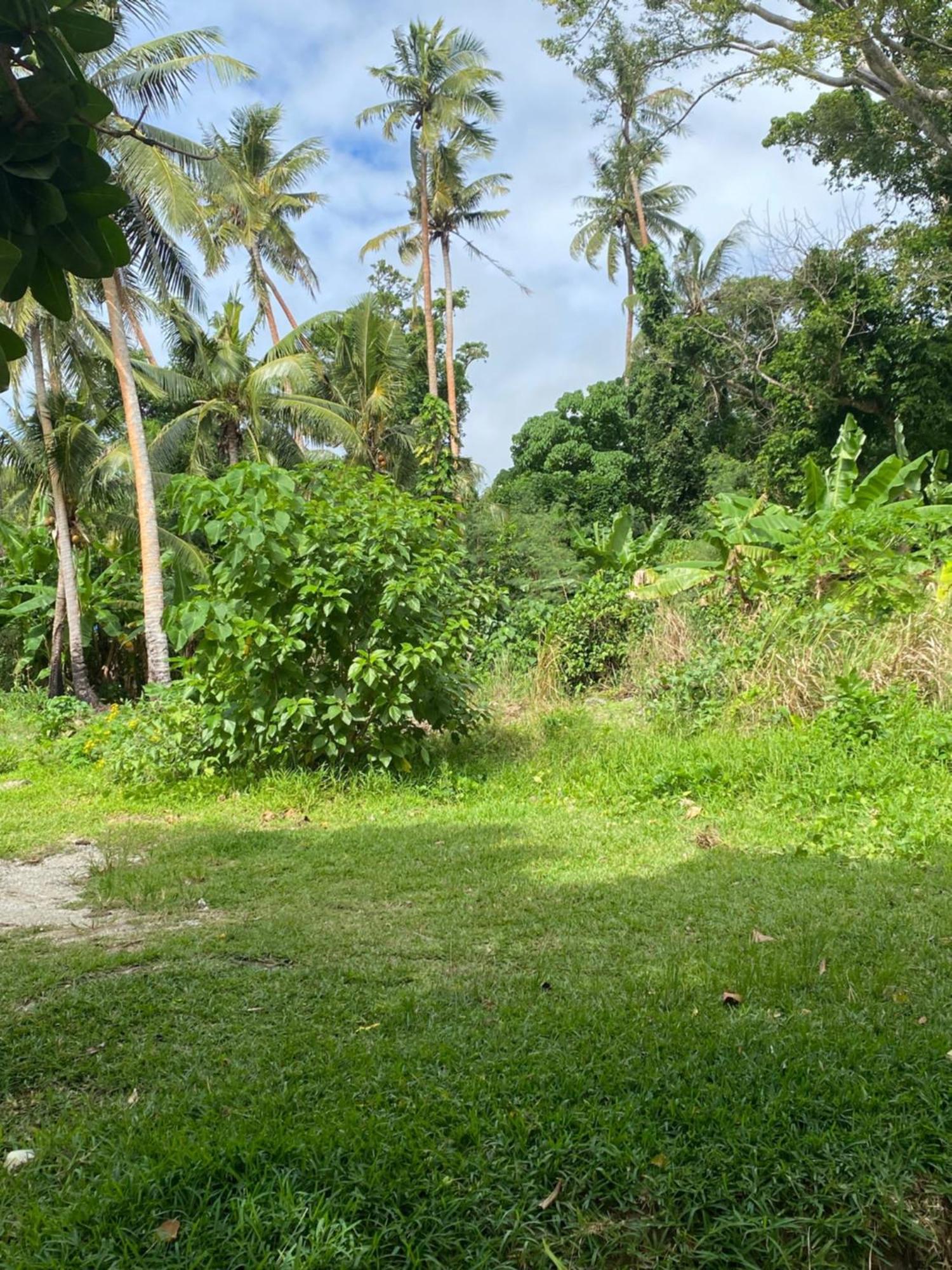Vatupau Beachfront Bungalows Port Vila Buitenkant foto